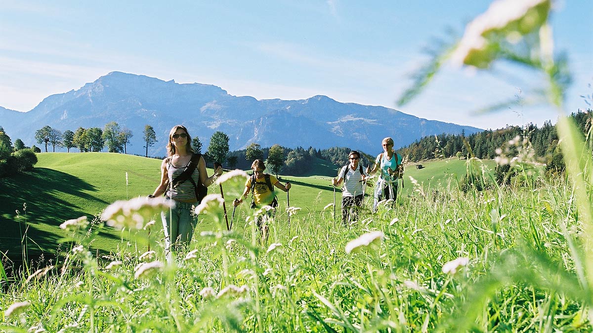 alpbach_wandern.jpg