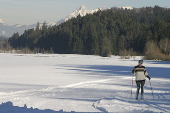 Langlaufen in Tirol
