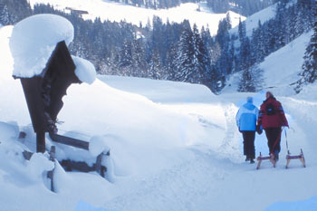 Rodeln - eine lustige Abwechslung